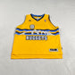 Denver Nuggets Danilo Gallinari Adidas Swingman NBA Basketball Jersey